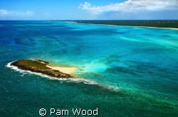 A different perspective of Grand Bahamas from the air. by Pam Wood 